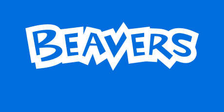 beaversreverseblue
